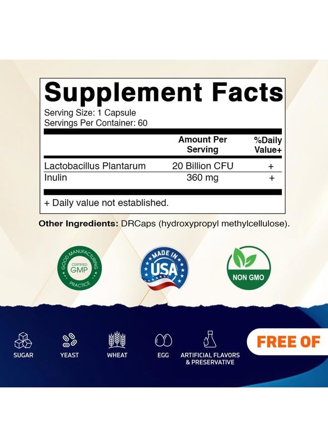 Vitamatic Lactobacillus Plantarum - 20 Billion per DR Capsule - 60 Count - Digestive Support - Made with Prebiotic Inulin Fiber - Image 2